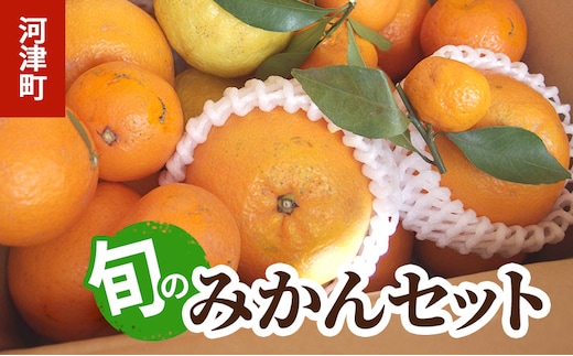 みかん 河津町旬のみかんセット ミカン セット 旬の果物 フルーツ 果実 ニューサマーオレンジ 甘夏 不知火 早生ミカン はるみ ポンカン 河津町 静岡県
