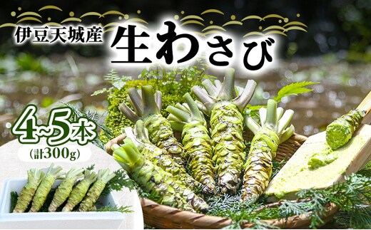 伊豆天城産 生わさび 4～5本 計300g 調味料 薬味 わさび 山葵 生山葵 ワサビ 生ワサビ 刺身 寿司 新鮮 河津町産 静岡県産