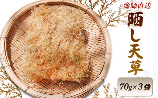 漁師直送 晒し天草 70g×3袋 天草 産地直送 新鮮 選別品 河津町 静岡県