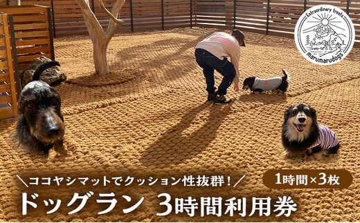 MARUMARUDOGS ドックラン 3時間利用券 1時間×3枚セット 人1人＋犬1頭 チケット 犬 ペット 体験 施設 施設利用券 ラン コイヤーグラウンド 天然素材 静岡県 河津町