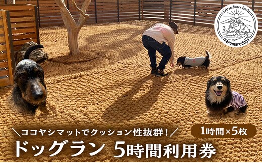 MARUMARUDOGS ドックラン 5時間利用券 1時間×5枚セット 人1人＋犬1頭 チケット 犬 ペット 体験 施設 施設利用券 ラン コイヤーグラウンド 天然素材 静岡県 河津町