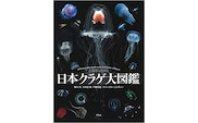 清水町ふるさと大使 海洋生物 写真家 峯水 亮 【日本クラゲ大図鑑】 図鑑 海 写真集　within2025