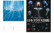 清水町ふるさと大使（清水町在住） 海洋生物写真家　峯水亮氏　『ときめくクラゲ図鑑』＆『日本クラゲ大図鑑』　２冊セット　within2025