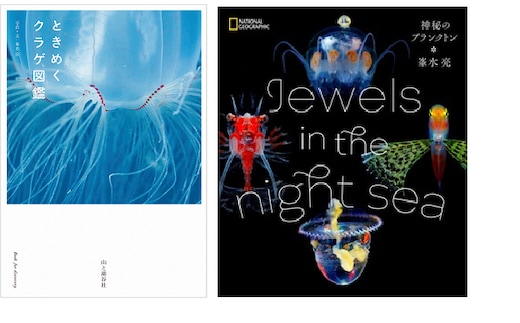 清水町ふるさと大使 清水町在住 海洋生物写真家 峯水亮 【ときめくクラゲ図鑑】＆【Jewelsin the night sea 神秘のプランクトン】２冊セット 写真集 海 within2025