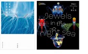 清水町ふるさと大使 清水町在住 海洋生物写真家 峯水亮 【ときめくクラゲ図鑑】＆【Jewelsin the night sea　神秘のプランクトン】２冊セット 写真集 海　within2025