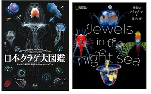 清水町ふるさと大使（清水町在住） 海洋生物写真家 峯水亮氏 『日本クラゲ大図鑑』＆『Jewelsin the night sea 神秘のプランクトン』 ２冊セット within2025