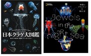 清水町ふるさと大使（清水町在住） 海洋生物写真家　峯水亮氏　『日本クラゲ大図鑑』＆『Jewelsin the night sea　神秘のプランクトン』　２冊セット　within2025