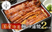 うなぎ 蒲焼 真空パック 特選 国産 2人前 うな繁