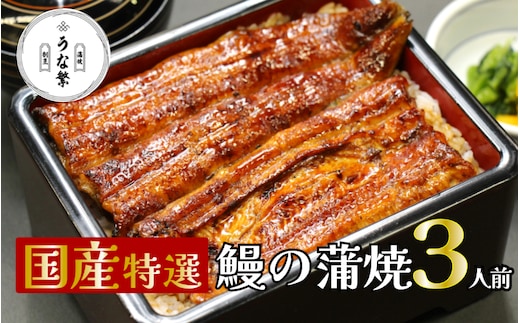 うなぎ 蒲焼 真空パック 特選 国産 3人前 うな繁
