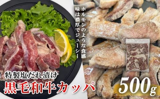 黒毛和牛カッパ（肉ホルモン） 特製塩だれ漬け 500g 
