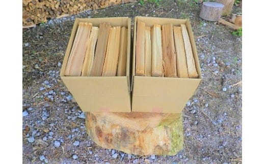 1B12「きこりの薪」A足柄山セット 針葉樹