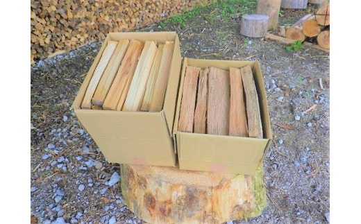 1B14「きこりの薪」C富士山セット 針葉樹と広葉樹