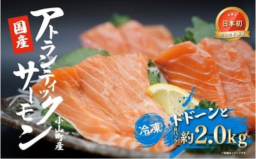 小山町産アトランティックサーモン（８パック）