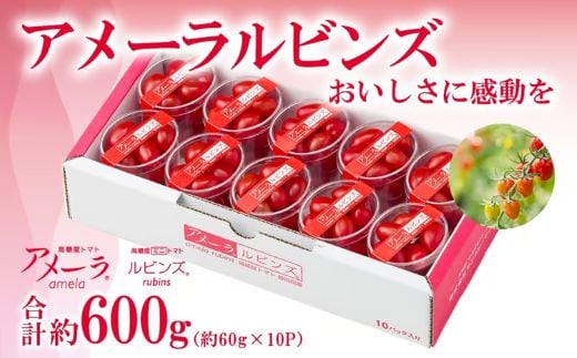 アメーラルビンズ 10パック入り