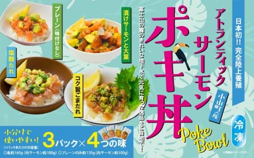 日本初 完全陸上養殖 静岡県小山町産 アトランティックサーモン 冷凍 ポキ丼 （ 食べ比べ セット 約160g / 約130g × 3パック × 4つの味 ） 