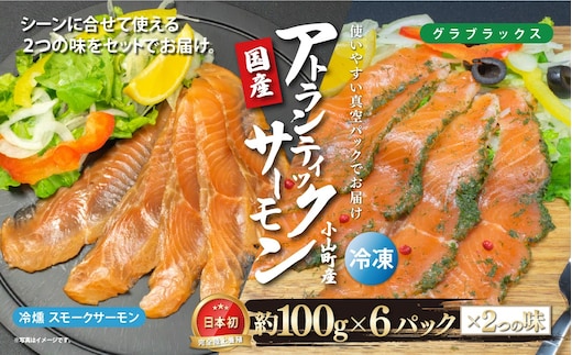 国産 小山町産 アトランティックサーモン 冷凍 スモークサーモン 冷燻・グラブラックス 食べ比べセット100g×6パック×2つの
