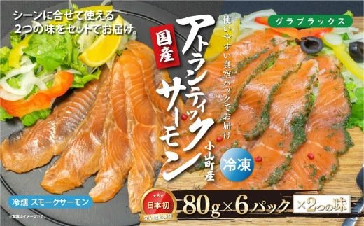 国産 小山町産 アトランティックサーモン 冷凍 スモークサーモン 冷燻・グラブラックス 食べ比べセット80g×6パック×2つの