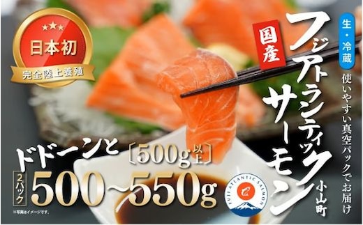 フジアトランティックサーモン（２パック）