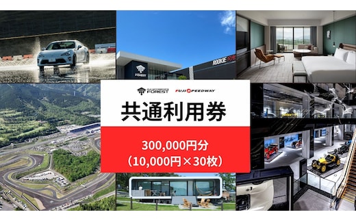 AW69富士 モータースポーツフォレスト エリア 共通利用券 300,000円（10,000円券×30枚）