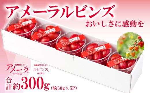 B50アメーラルビンズ 5パック入り