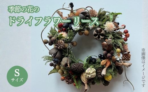 E14季節の花のドライフラワー リース Sサイズ