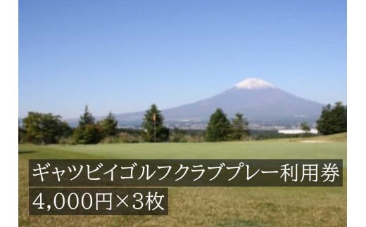 I9ギャツビイゴルフクラブプレー利用券 3枚 【小山町内 ゴルフ場 共通利用券】