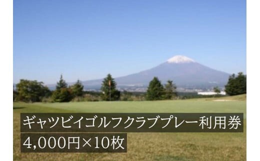 Q32ギャツビイゴルフクラブプレー利用券 10枚 【小山町内 ゴルフ場 共通利用券】