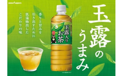 T10H2【定期便３か月コース】玉露入りお茶600ｍｌ×24本入【北海道・沖縄・離島 配送不可】×３回