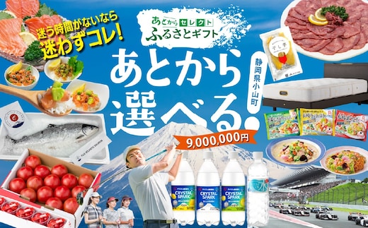 あとからセレクト 【 ふるさとギフト 】 9,000,000円分