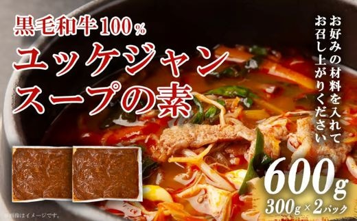 黒毛和牛100％ 焼肉屋のユッケジャンスープの素 300g （約4人前）× 2パック