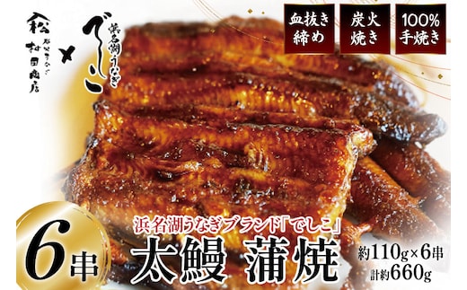 ブランド鰻【でしこ】 うなぎ 国産 静岡 太鰻 蒲焼 太串 110g 6串 計660g [ヤママツ村田商店 静岡県 吉田町 22424604-a] 鰻 ウナギ unagi 蒲焼き 鰻蒲焼き 雌鰻 雌 メス でしこ 養鰻 静岡県産 真空パック 冷凍
