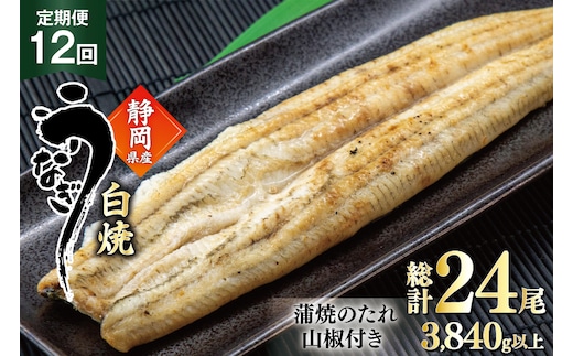 うなぎ 国産 白焼 定期便 160g程度 2尾 12回 総計24尾 3.84kg以上 タレ山椒付き 真空パック 個包装 [駿河淡水 静岡県 吉田町 22424508] 静岡県産 静岡 鰻 ウナギ うなぎ白焼き うなぎ白焼 鰻白焼き 白焼き 化粧箱 冷凍 unagi