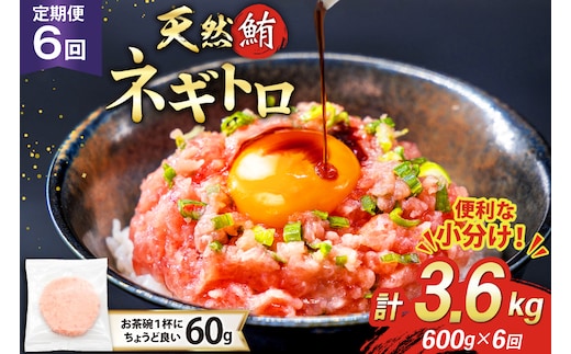 6回 定期便 天然 マグロ ネギトロ まぐろたたき 冷凍 60g 10個 計600g [トライ産業 静岡県 吉田町 22424390] 小分け 個包装 まぐろのたたき 鮪 まぐろ ネギトロ丼 ねぎとろ マグロたたき
