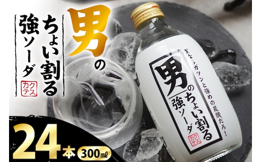 ソーダ 男のちょい割る強ソーダ 300ml × 24本 [翔栄通商 静岡県 吉田町 22424712] 炭酸 炭酸飲料 強炭酸 瓶 そーだ 木村飲料