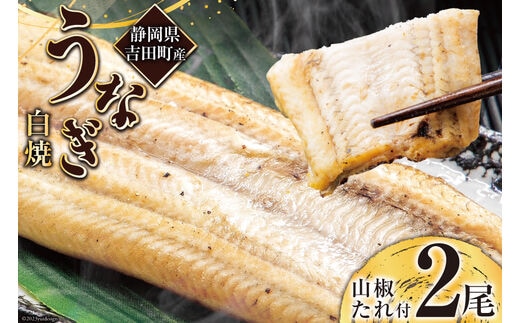 うなぎ 国産 静岡 うなぎ白焼 150g 以上× 2尾 タレ 山椒 付き [大井川うなぎ 静岡県 吉田町 22424463] 鰻 ウナギ 白焼き 白焼 鰻白焼き 真空パック 静岡県産