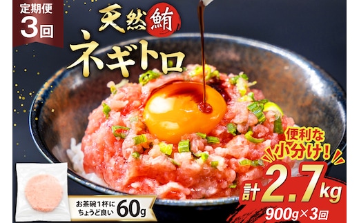 3回 定期便 天然 マグロ ネギトロ まぐろたたき 冷凍 60g 15個 計900g [トライ産業 静岡県 吉田町 22424392] 小分け 個包装 まぐろのたたき 鮪 まぐろ ネギトロ丼 ねぎとろ マグロたたき