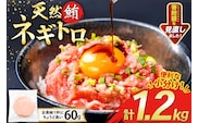 天然 マグロ ネギトロ まぐろたたき 小分け 60g ×20 計1.2kg FY03 [トライ産業 静岡県 吉田町 22424332] 個包装 冷凍 まぐろ 鮪 ねぎとろ マグロたたき ねぎとろ丼 手巻き寿司 500g以上 1kg未満