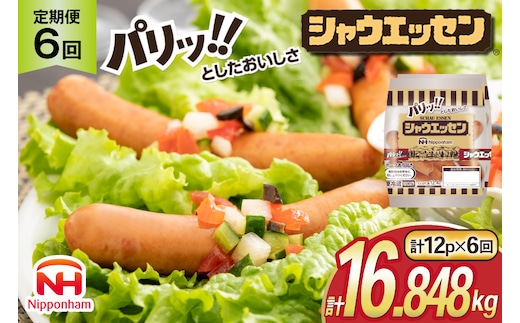 定期便 シャウエッセン 117g(約6本入) 2束 12袋 計2.808kg 6回 総計16.848kg [ 日本ハム マーケティング 静岡県 吉田町 22424432] 冷蔵 小分け ウインナー ウィンナー ソーセージ 粗びき 粗挽き あらびき 業務用 惣菜 弁当 お弁当 おかず おつまみ バーベキュー