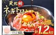 天然 マグロ ネギトロ まぐろたたき 小分け 60g ×20 計1.2kg FY03 [トライ産業 静岡県 吉田町 22424332] 個包装 冷凍 まぐろ 鮪 ねぎとろ マグロたたき ねぎとろ丼 手巻き寿司 500g以上 1kg未満