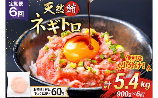 6回 定期便 天然 マグロ ネギトロ まぐろたたき 冷凍 60g 15個 計900g [トライ産業 静岡県 吉田町 22424393] 小分け 個包装 まぐろのたたき 鮪 まぐろ ネギトロ丼 ねぎとろ マグロたたき