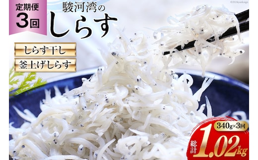 3回 定期便 駿河湾産 しらす干し 100g×1 釜上げしらす 120g×2 計3パック [マルあ水産 静岡県 吉田町 22424640] 魚 海鮮 しらす 白子 シラス 天日 じゃこ 小分け おじゃこ しらす干し