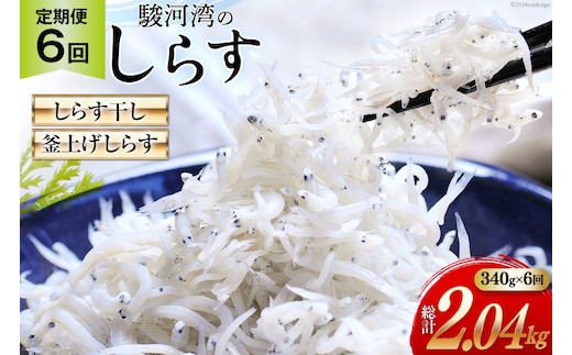 6回 定期便 駿河湾産 しらす干し 100g×1 釜上げしらす 120g×2 計3パック [マルあ水産 静岡県 吉田町 22424641] 魚 海鮮 しらす 白子 シラス 天日 じゃこ 小分け おじゃこ しらす干し