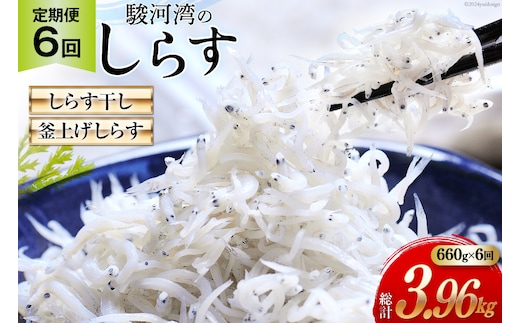 6回 定期便 駿河湾産 しらす干し 100g×3 釜上げしらす 120g×3 計6パック [マルあ水産 静岡県 吉田町 22424643] 魚 海鮮 しらす 白子 シラス 天日 じゃこ 小分け おじゃこ しらす干し