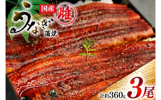うなぎ 蒲焼き 国産 雌うなぎ 約120g 3尾 計約360g [マルニうなぎ加工 静岡県 吉田町 22424459] 鰻 ウナギ 蒲焼 かば焼き 鰻蒲焼き うなぎ蒲焼 ウナギ蒲焼き 国産うなぎ蒲焼き 冷凍 静岡産 静岡 国産うなぎ 国産鰻 国産ウナギ unagi