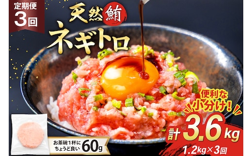 3回 定期便 天然 マグロ ネギトロ まぐろたたき 冷凍 60g 20個 計1.2kg [トライ産業株式会社 静岡県 吉田町 22424395] 小分け 個包装 まぐろのたたき 鮪 まぐろ ネギトロ丼 ねぎとろ マグロたたき