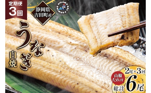 うなぎ 国産 定期便 白焼 150g以上 2尾 3回 総計6尾 タレ 山椒 付き [大井川うなぎ 静岡県 吉田町 22424565] 鰻 ウナギ unagi 白焼き 鰻白焼き 真空パック 冷凍 静岡県産