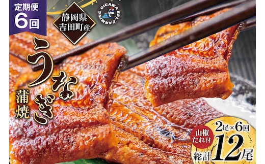 うなぎ 国産 静岡 定期便 蒲焼 150g以上 2尾 6回 総計12尾 [大井川うなぎ 静岡県 吉田町 22424566] 静岡県産 鰻 ウナギ ungai 蒲焼き うなぎ蒲焼き 鰻蒲焼 タレ たれ 山椒 真空パック 冷凍