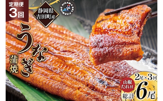うなぎ 国産 静岡 定期便 蒲焼 150g以上 2尾 3回 総計6尾 [大井川うなぎ 静岡県 吉田町 22424567] 静岡県産 鰻 ウナギ ungai 蒲焼き うなぎ蒲焼き 鰻蒲焼 タレ たれ 山椒 真空パック 冷凍