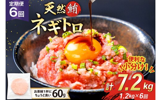 6回 定期便 天然 マグロ ネギトロ まぐろたたき 冷凍 60g 20個 計1.2kg [トライ産業 静岡県 吉田町 22424396] 小分け 個包装 まぐろのたたき 鮪 まぐろ ネギトロ丼 ねぎとろ マグロたたき