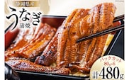 うなぎ 国産 静岡 うなぎ蒲焼 カット 80g ×6 計480g [静岡鰻販売 静岡県 吉田町 22424173] レンジ 鰻 レンチン ウナギ うなぎ蒲焼き うなぎ蒲焼 真空パック 冷凍 蒲焼 肉厚 ふっくら 静岡県産